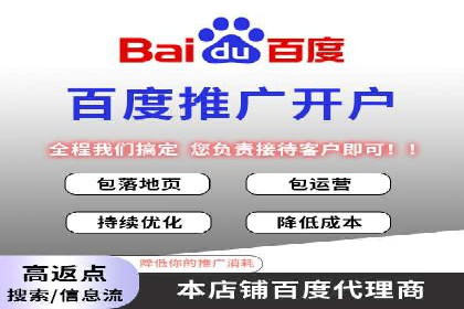 SEM外包策略在电商平台的成功案例